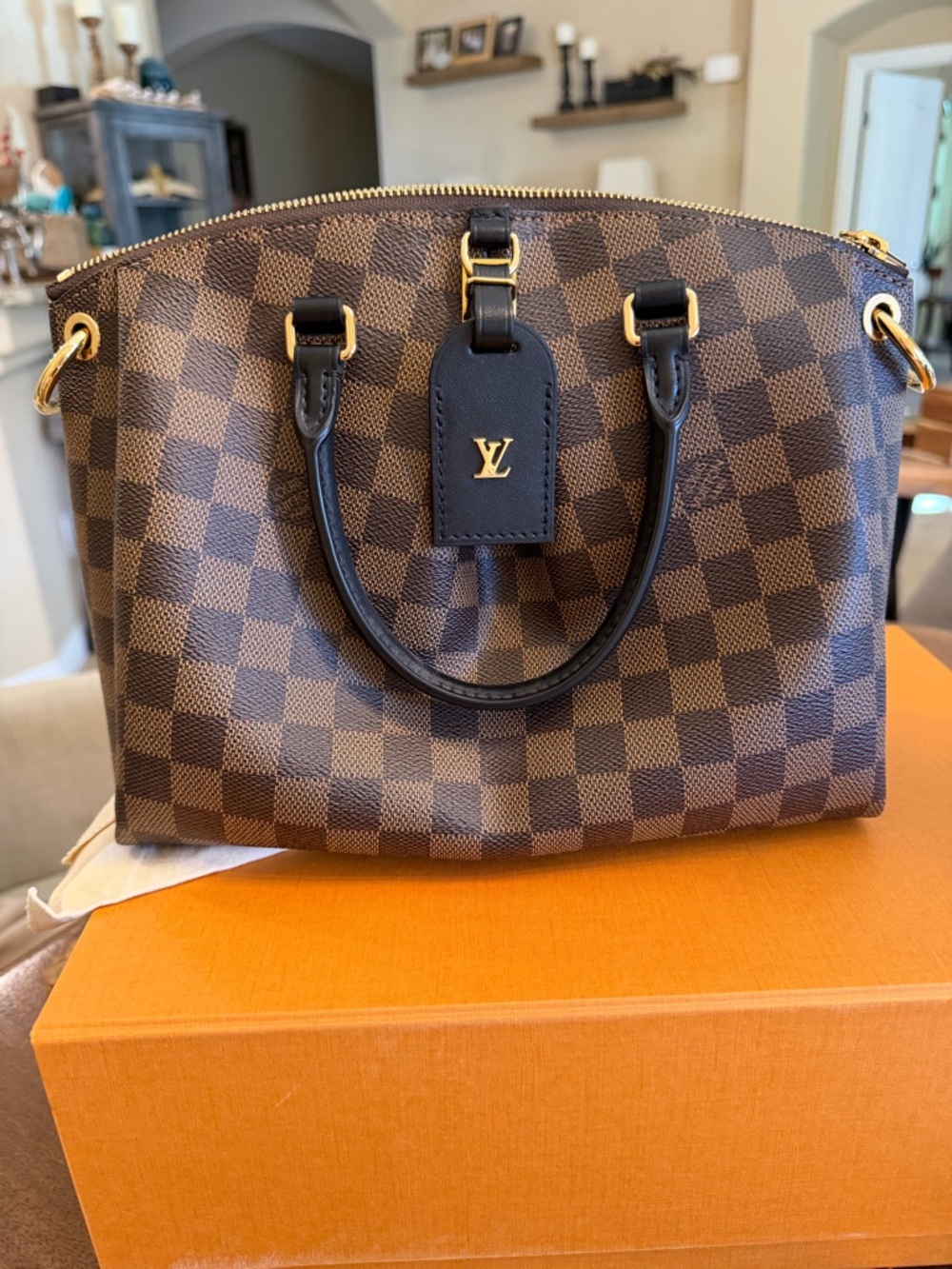 Louis Vuitton Damien
Ebene Odeon PM